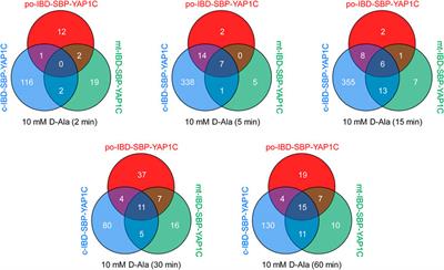 Peroxisome-Derived Hydrogen Peroxide Modulates the Sulfenylation Profiles of Key Redox Signaling Proteins in Flp-In T-REx 293 Cells